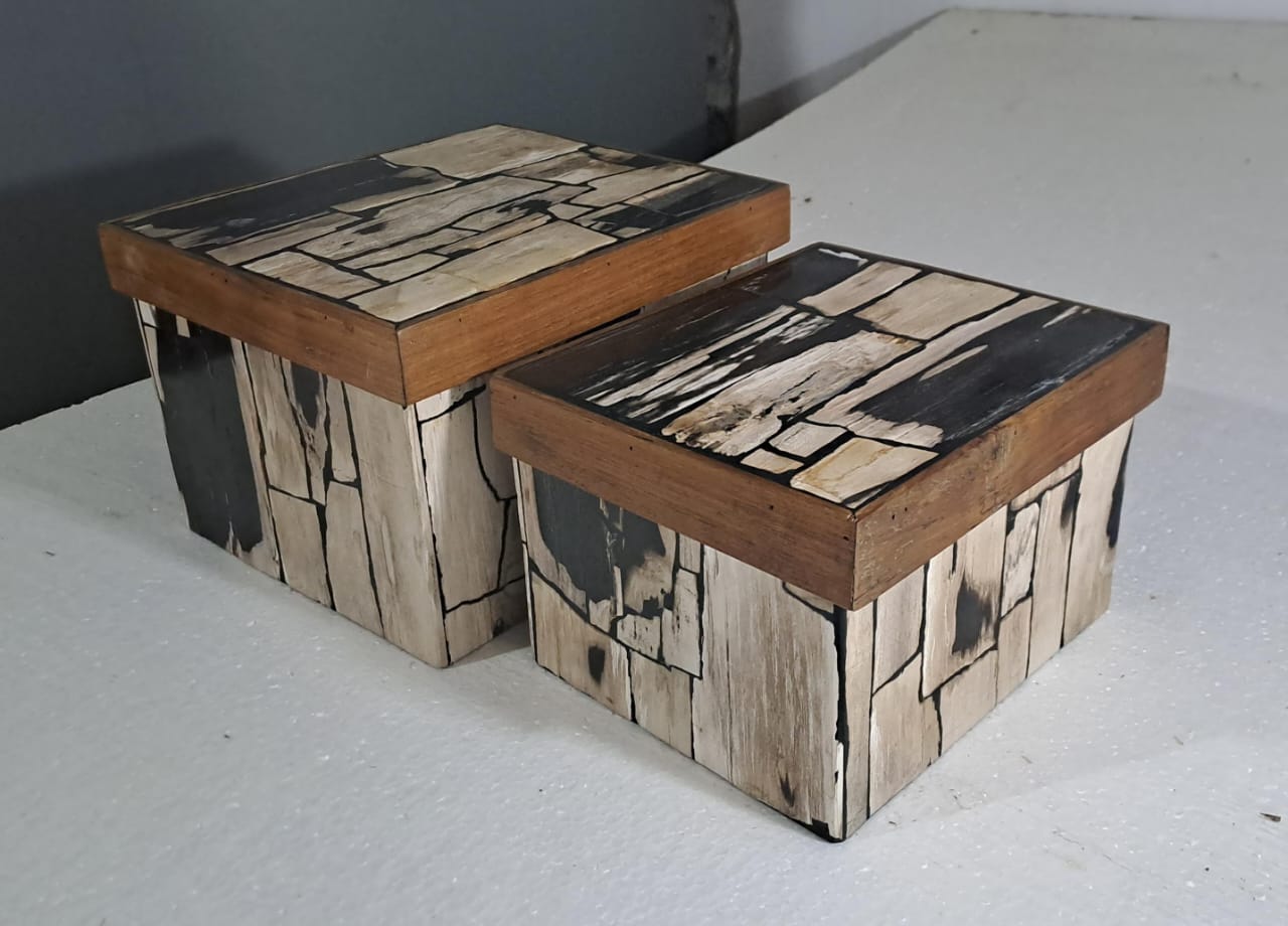 Petrified wood Storage Box set of 2